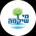 מי שקמה